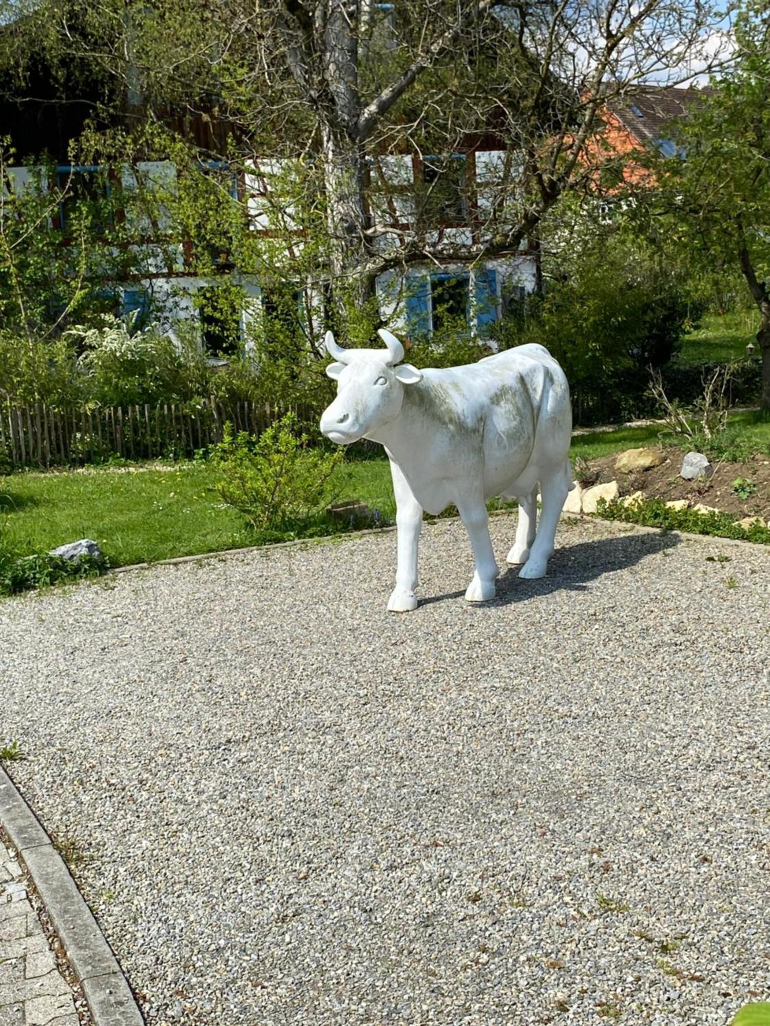 Am Brunnen Apartment *